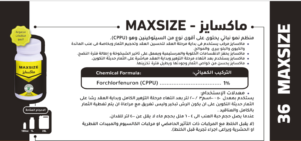 MAXSIZE