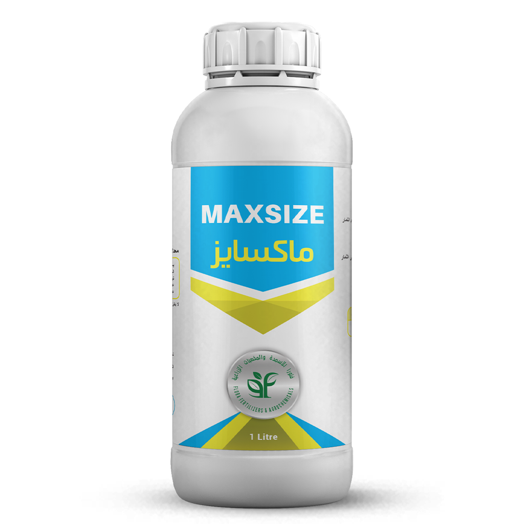 MAXSIZE