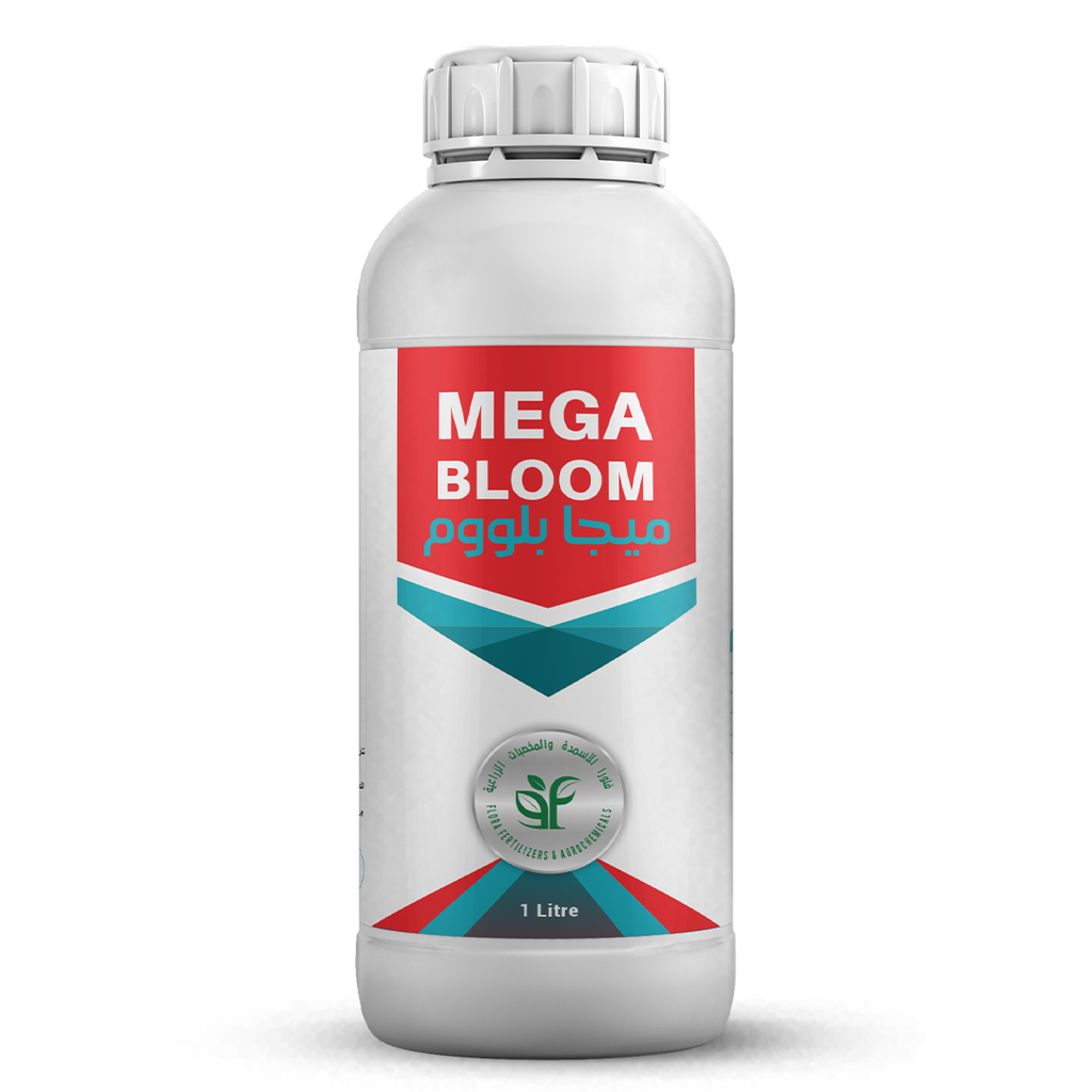 MEGA BLOOM