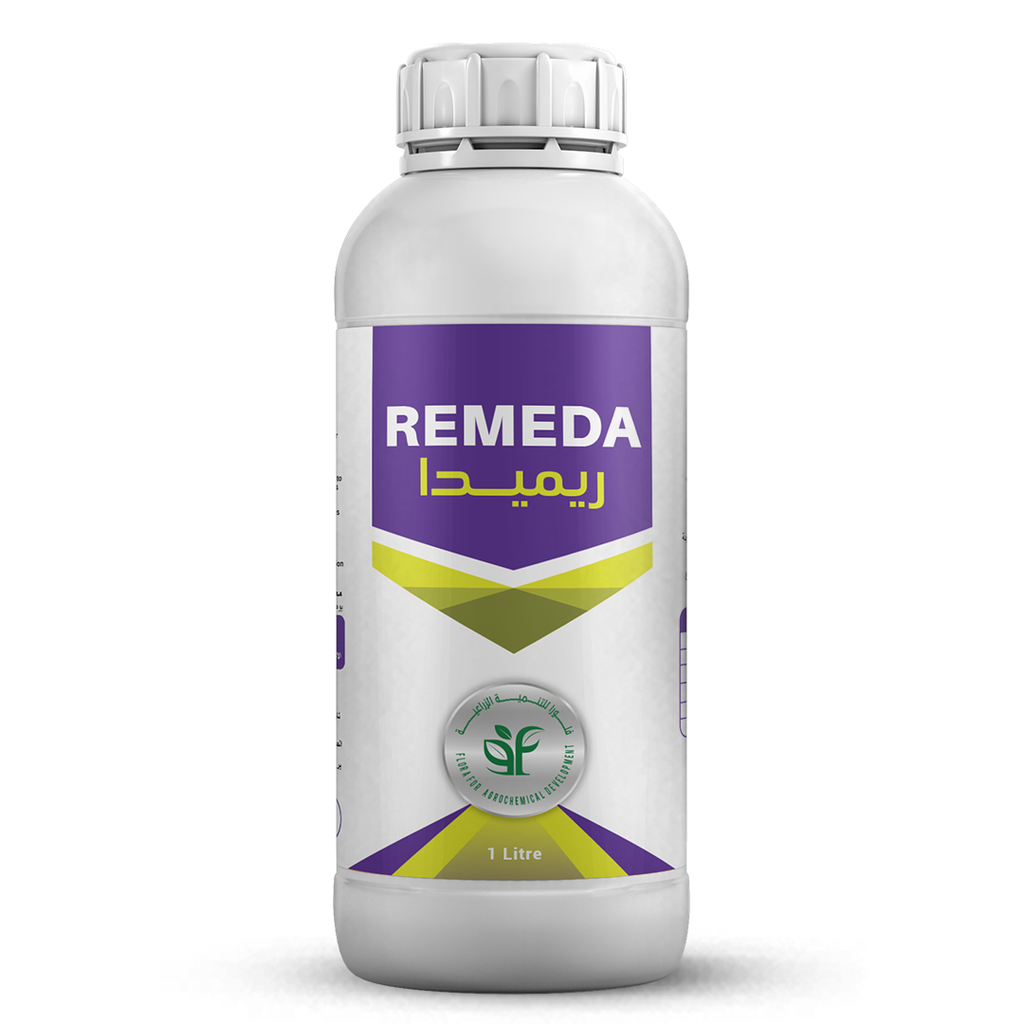 REMEDA
