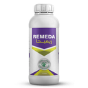 REMEDA
