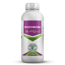 RHIZOMORE