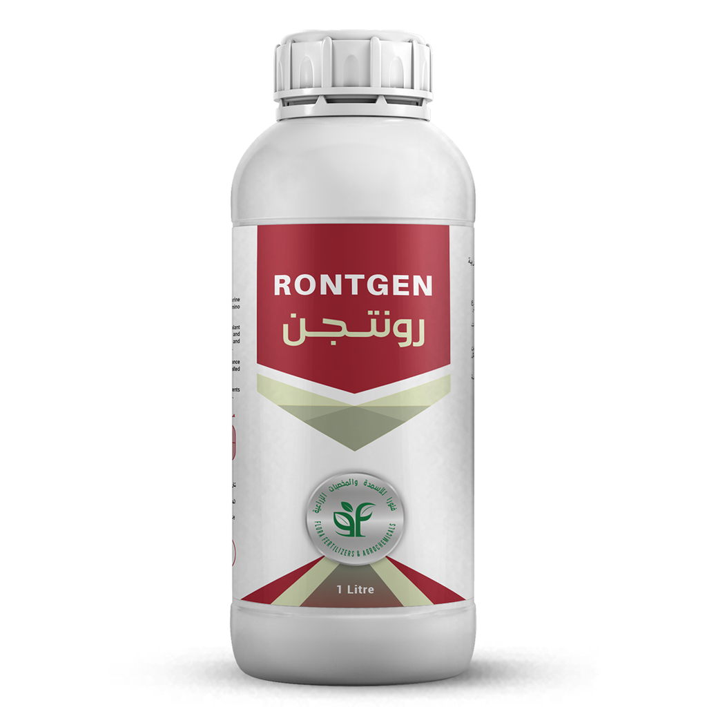 RONTGEN