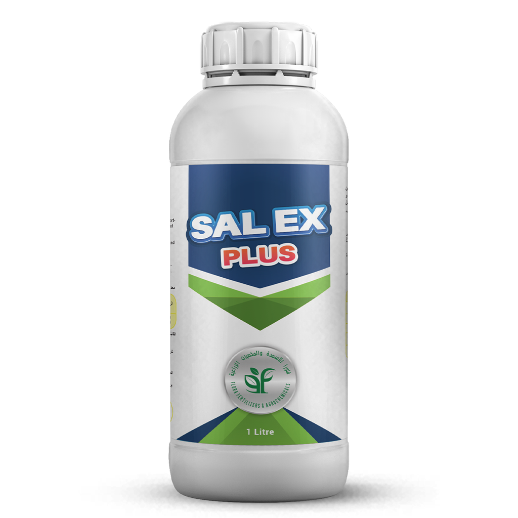 SAL EX PLUS