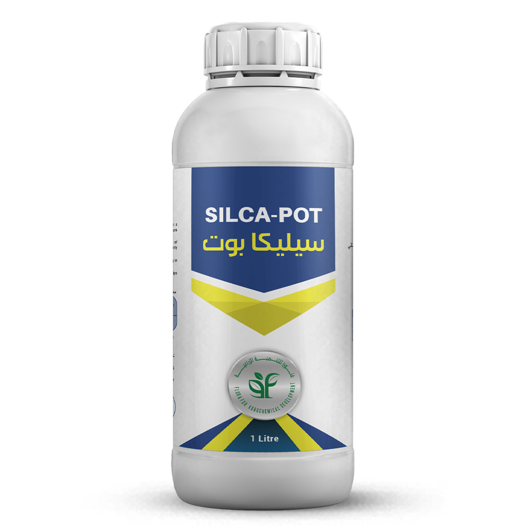 SILCA-POT