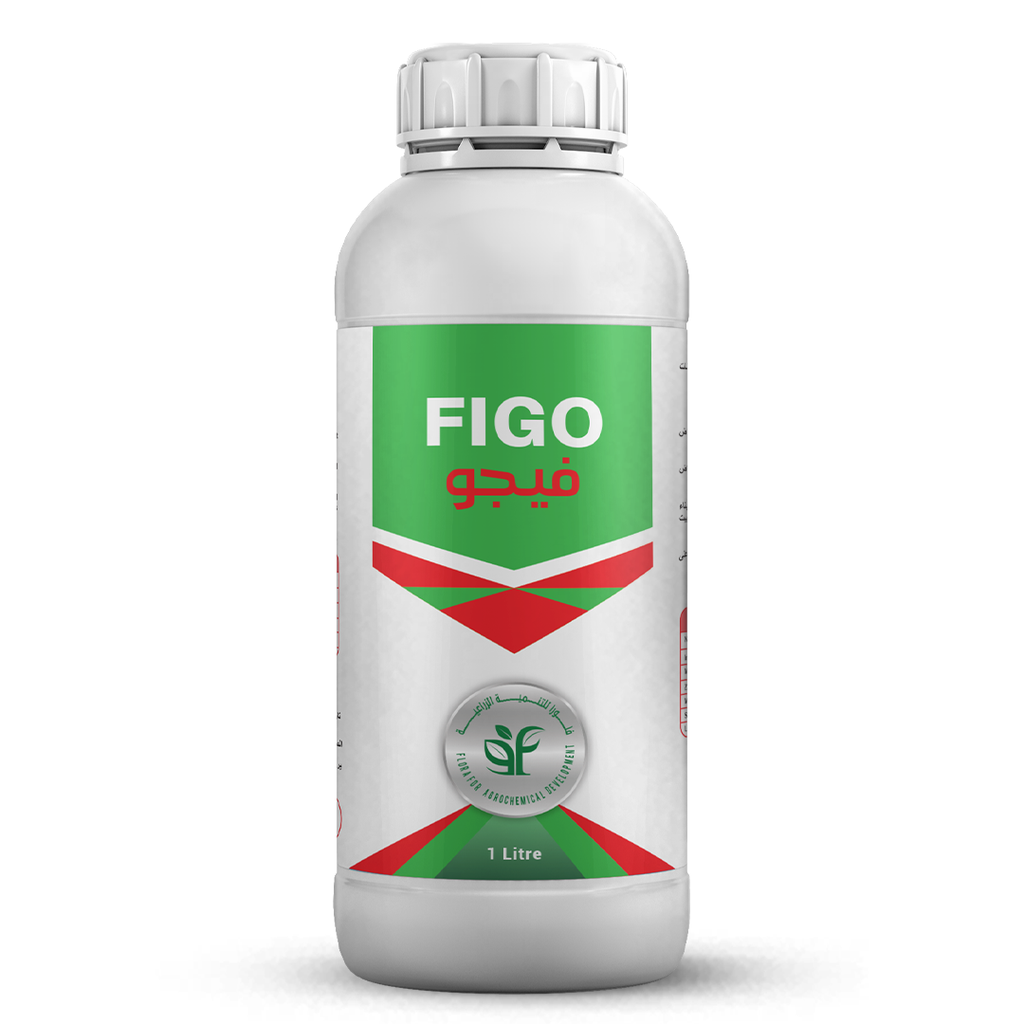 FIGO