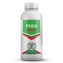 FIGO
