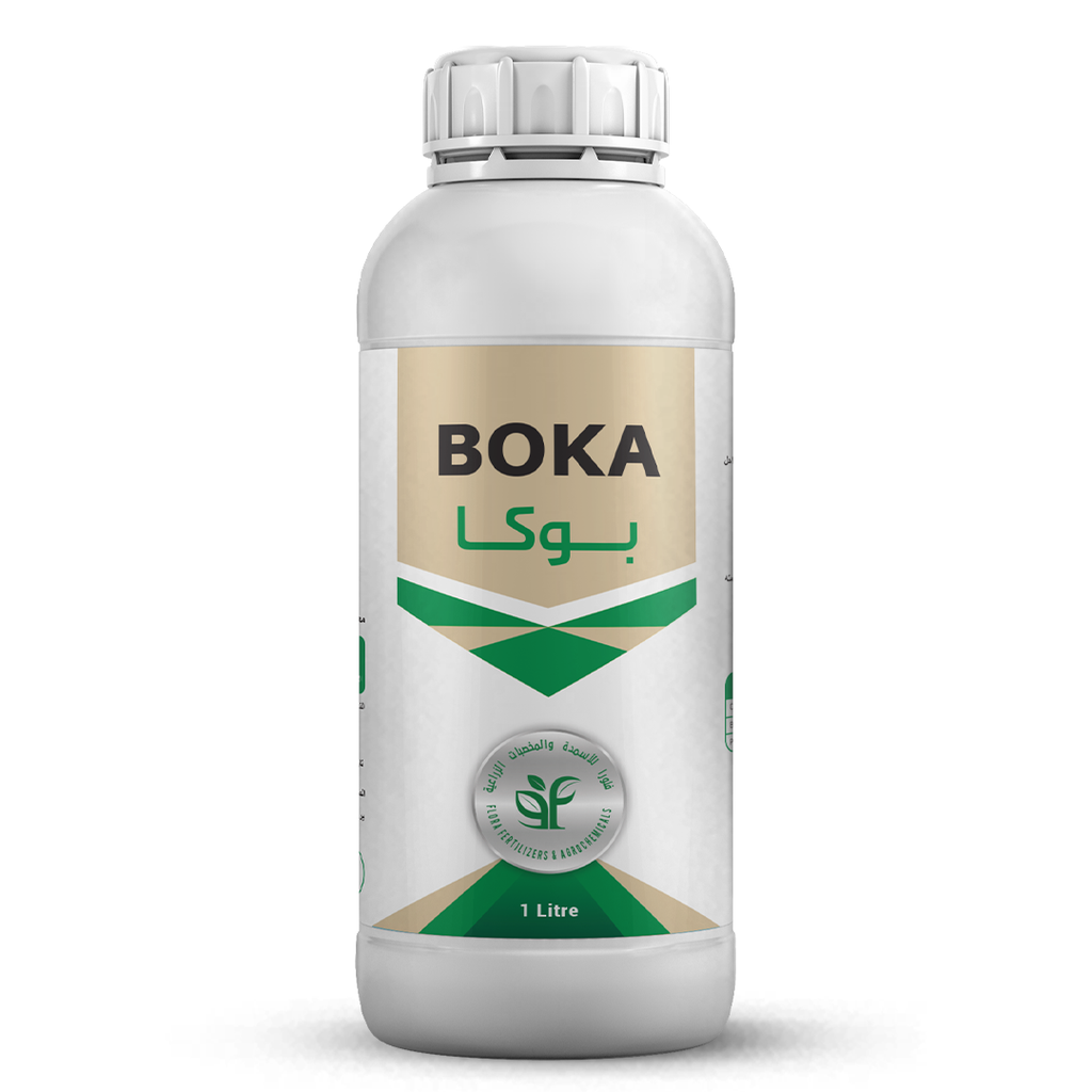 BOKA