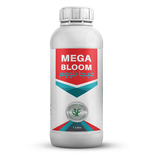 MEGA BLOOM