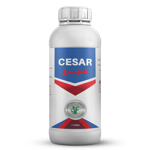 CESAR