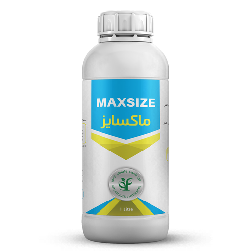 MAXSIZE