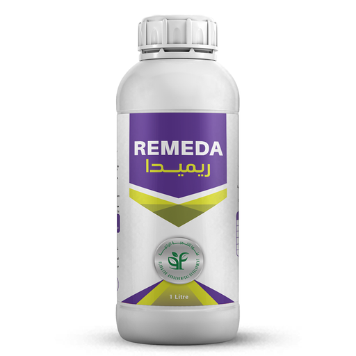 REMEDA