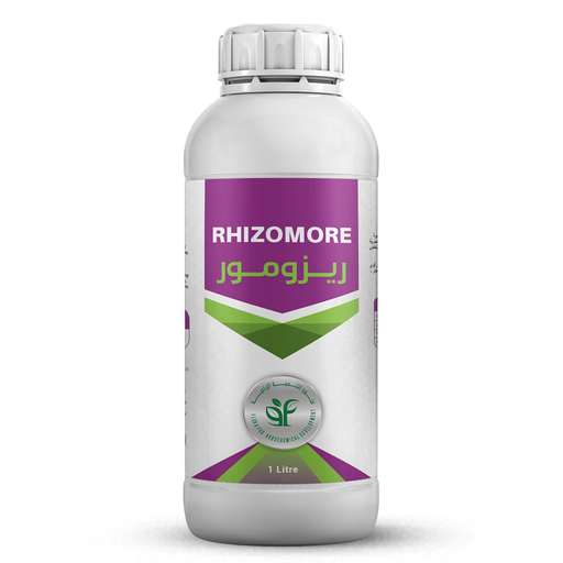 RHIZOMORE