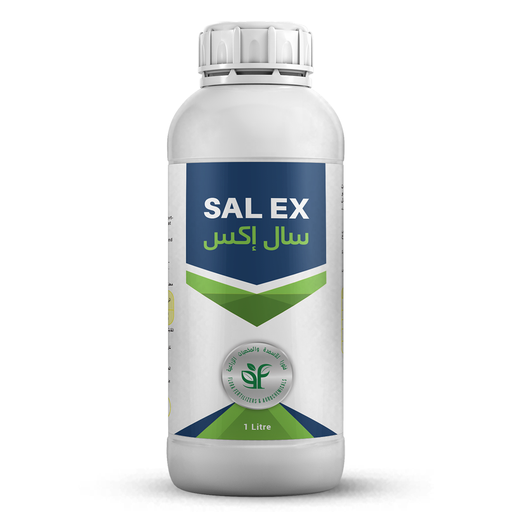 SAL EX