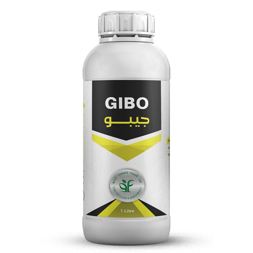 GIBO