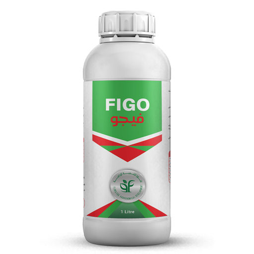 FIGO